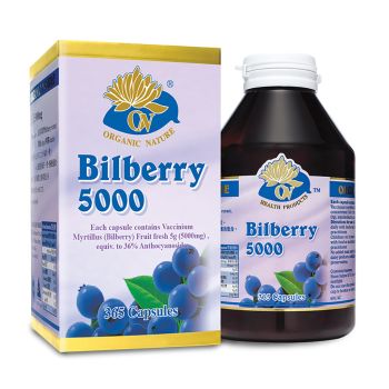 澳至尊 藍莓精華素5000mg 365粒