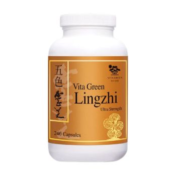 VitaGreen 維特健靈 五色靈芝 (特強配方) 240粒 (環保裝)