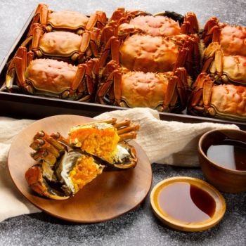 Holy Crab 大閘蟹(公) 5隻裝 (約重4-4.5両)